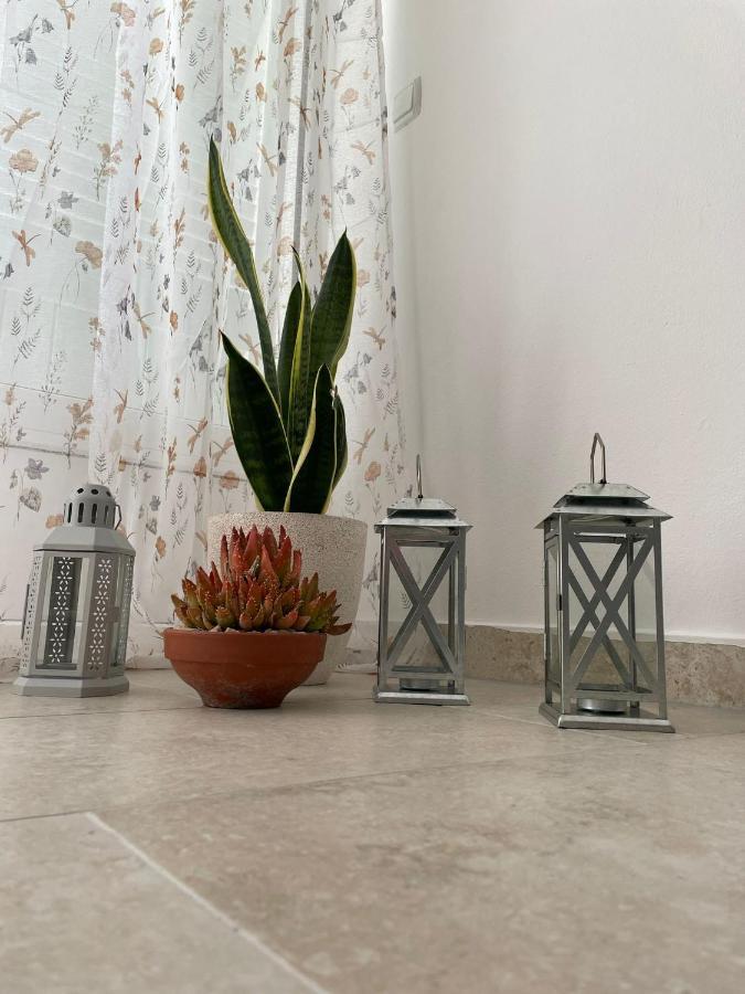Apartmani Maris II Palit 外观 照片